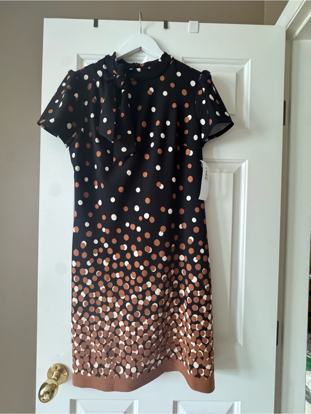 Polka Dot Tie-Neck Shift Dress in Black and Brown